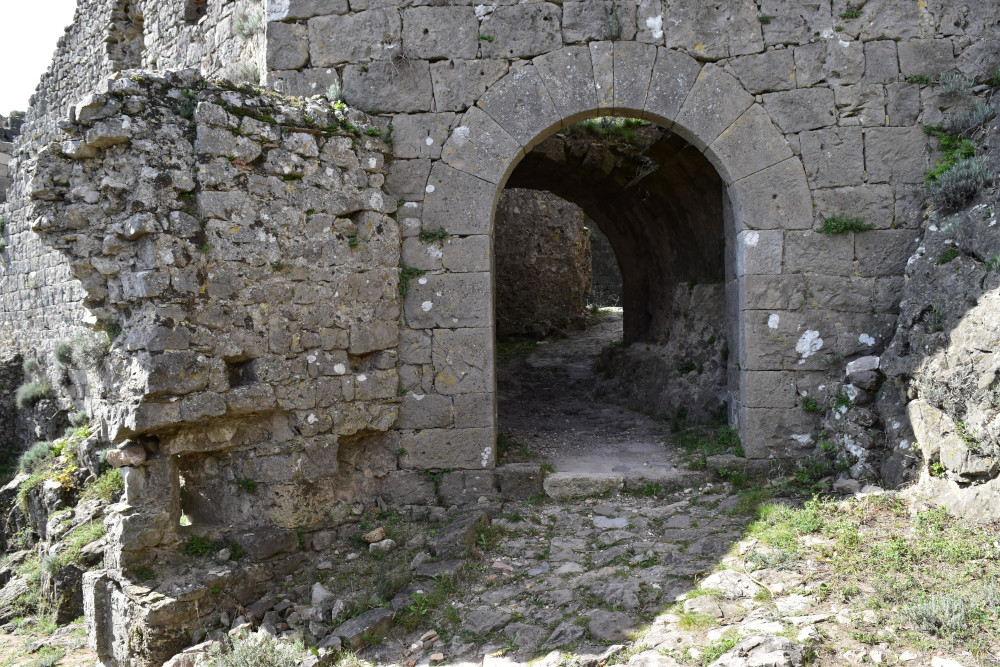 photo11