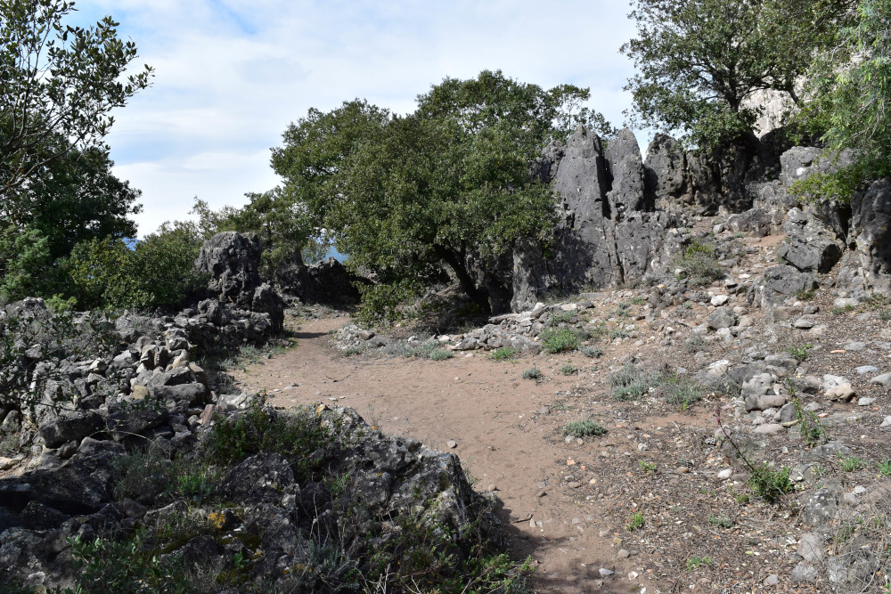 photo14