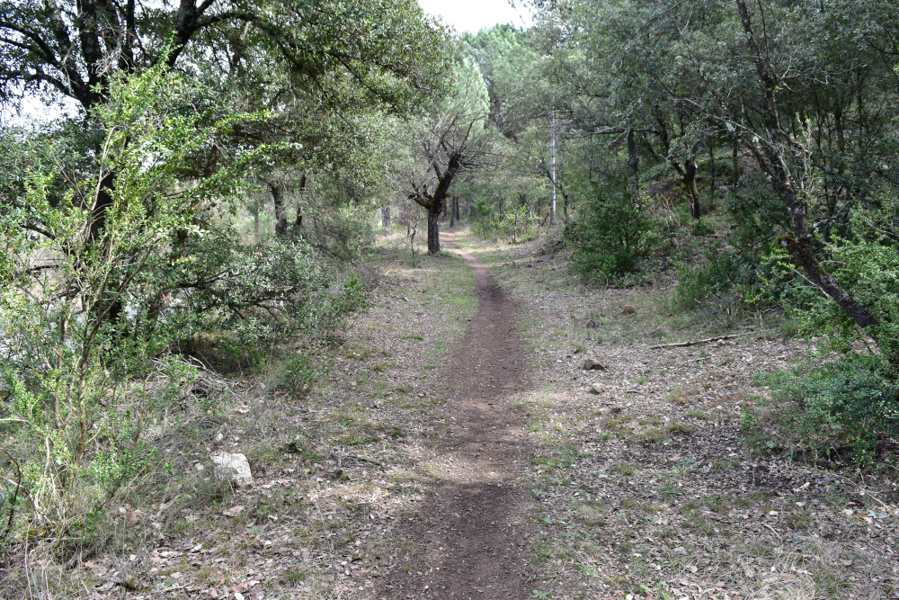 photo17