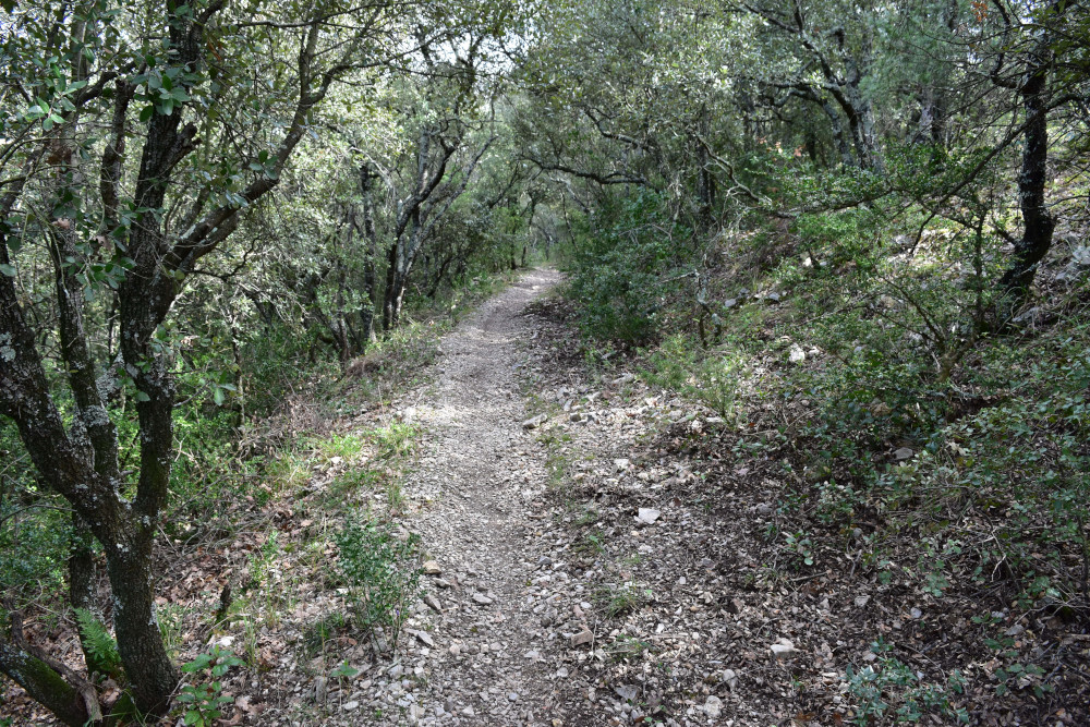 photo18