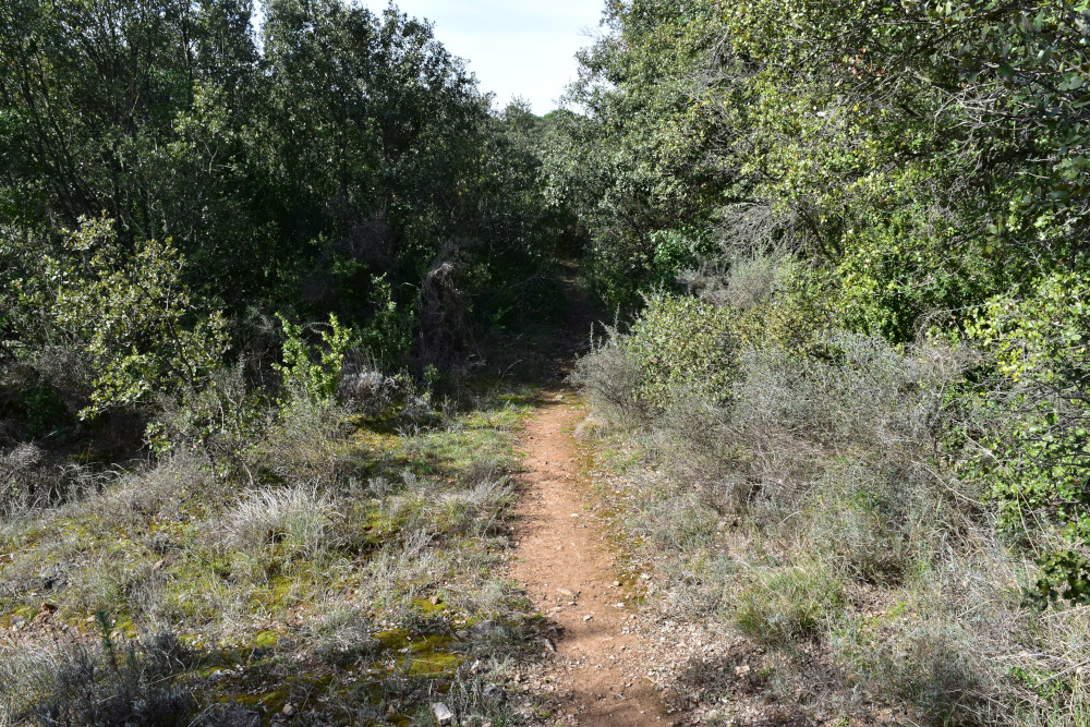 photo2
