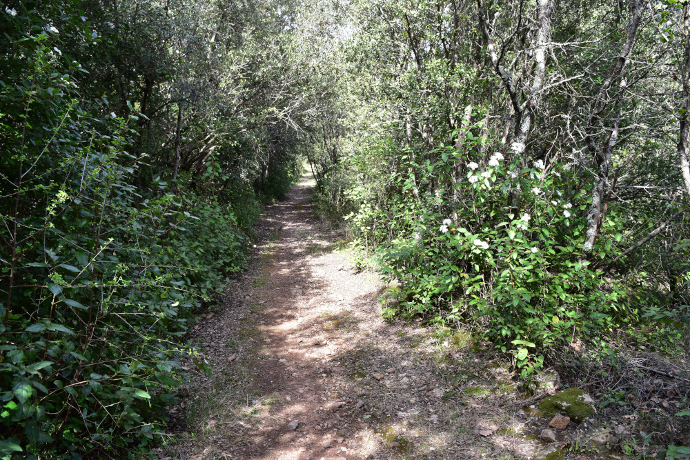 photo20