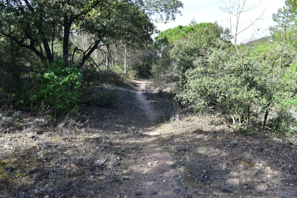 photo3