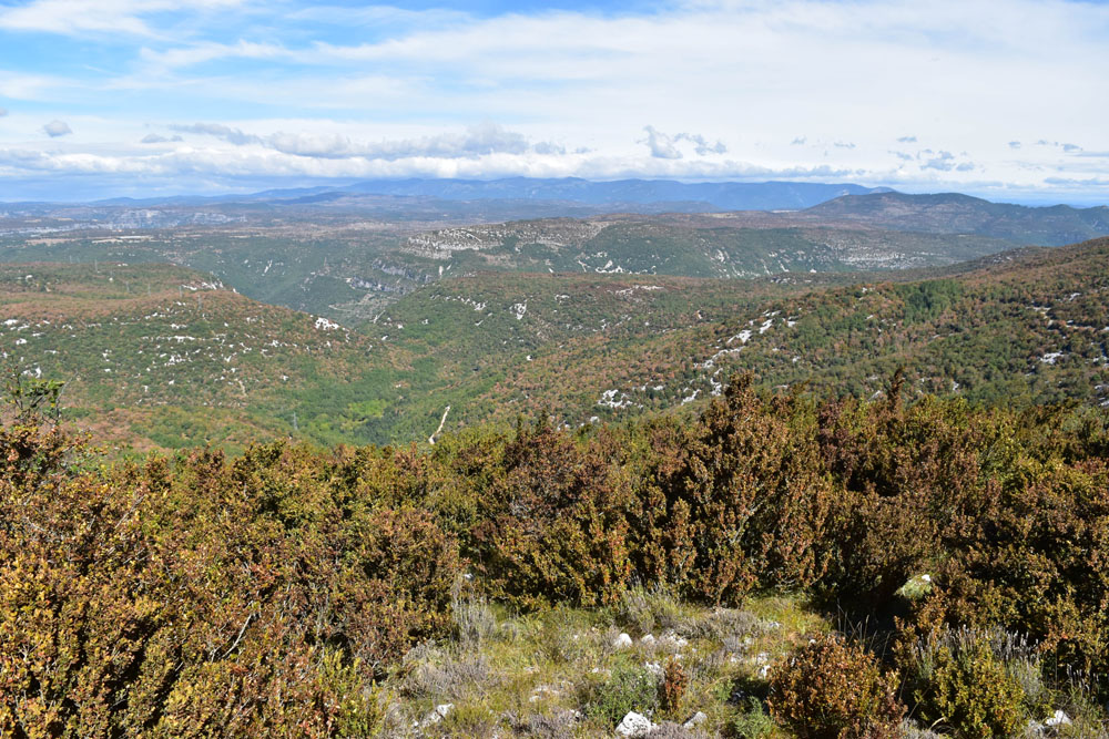 photo17