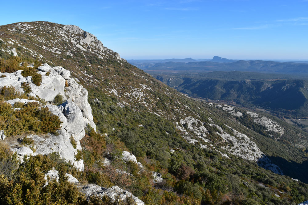 photo22