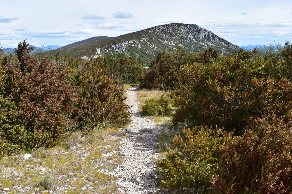 photo23