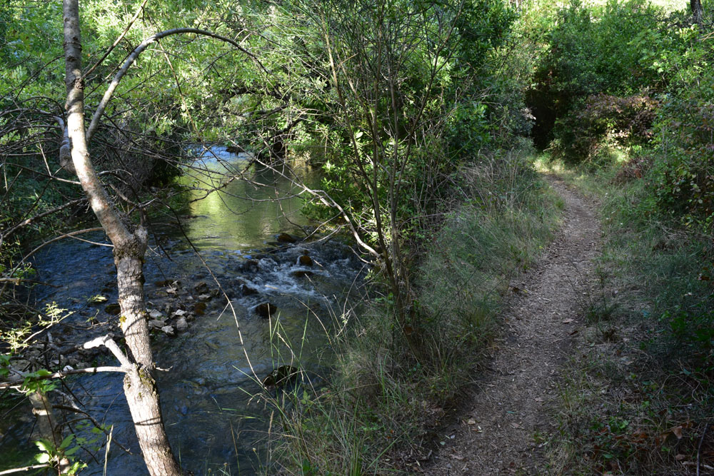 photo4