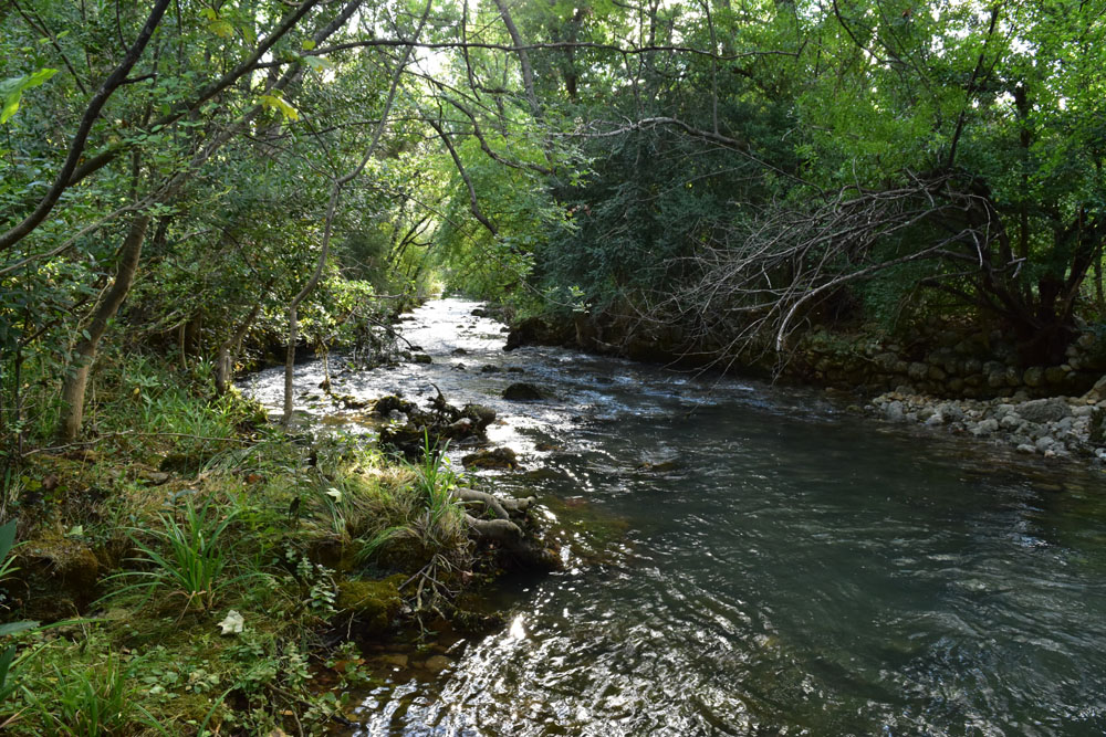 photo5
