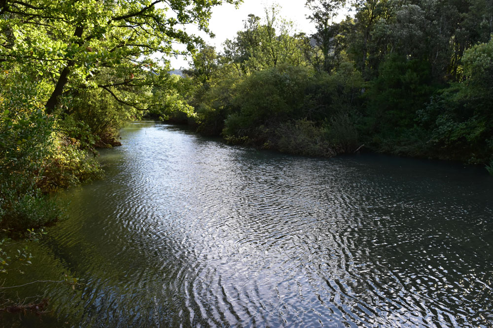 photo6