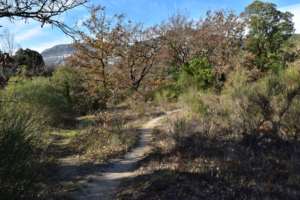 photo7
