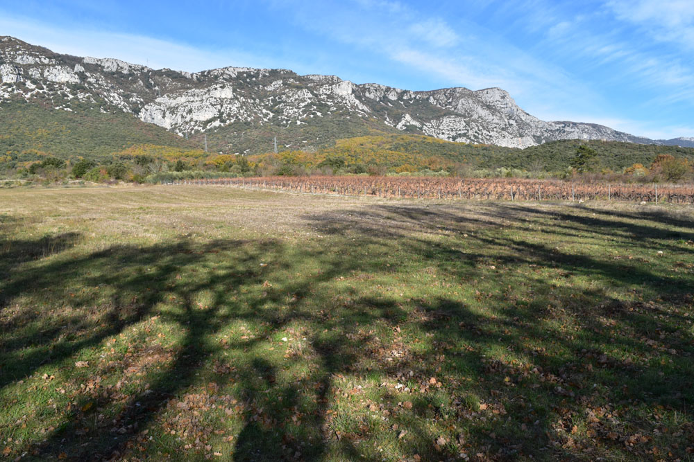photo8