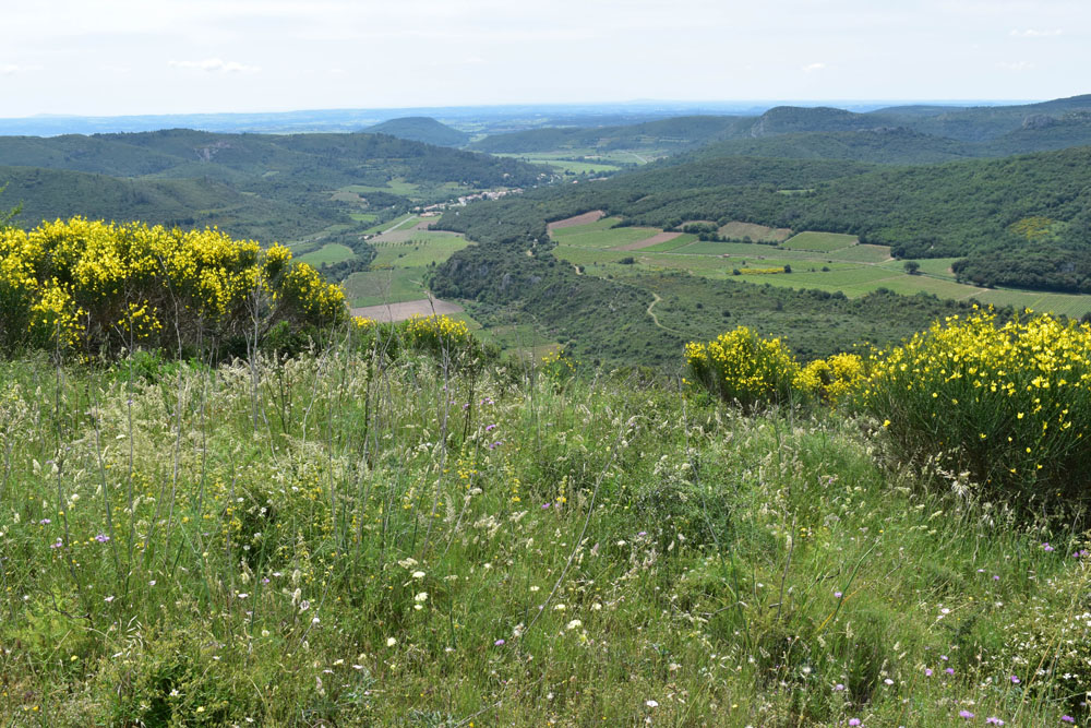 photo12
