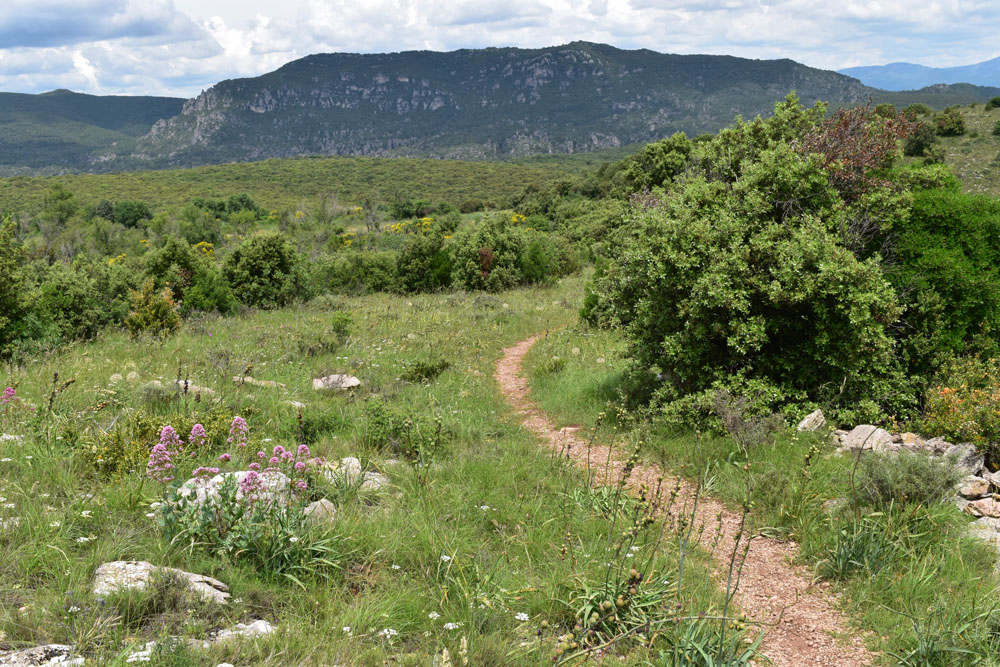 photo22