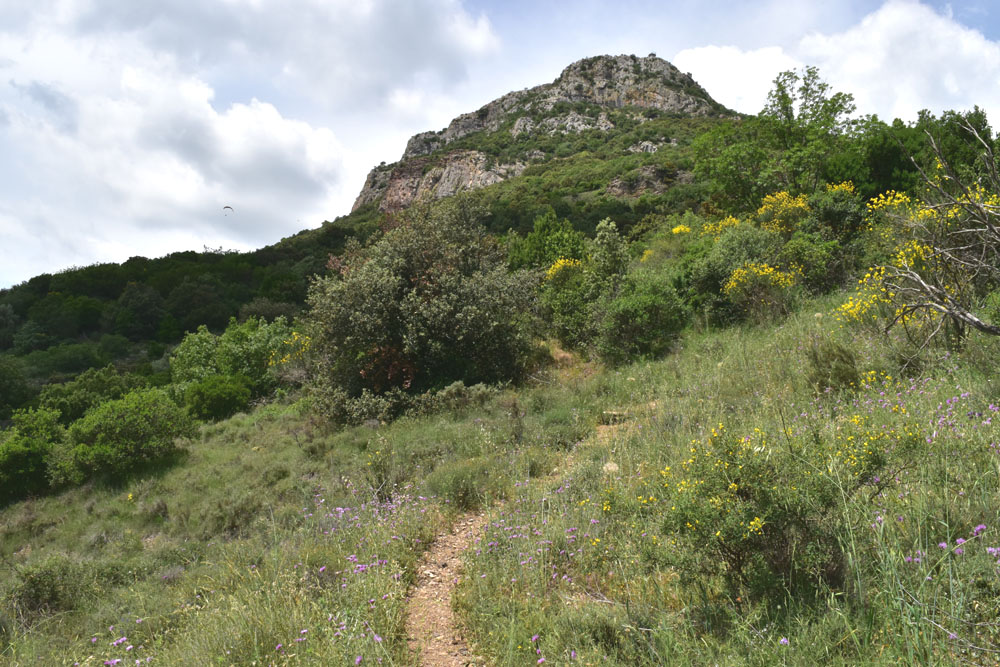 photo23