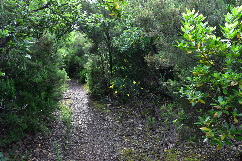photo3