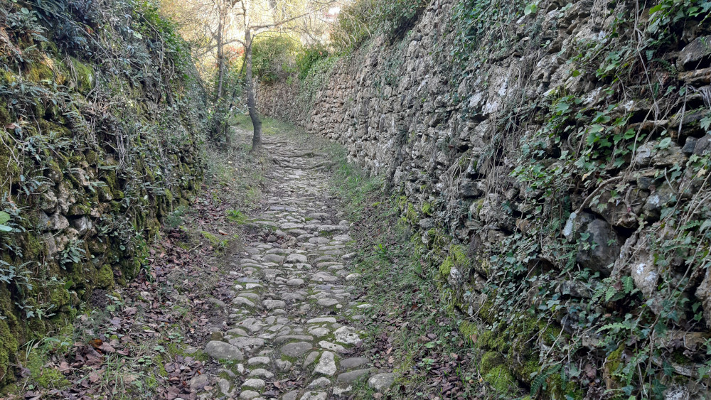 photo1