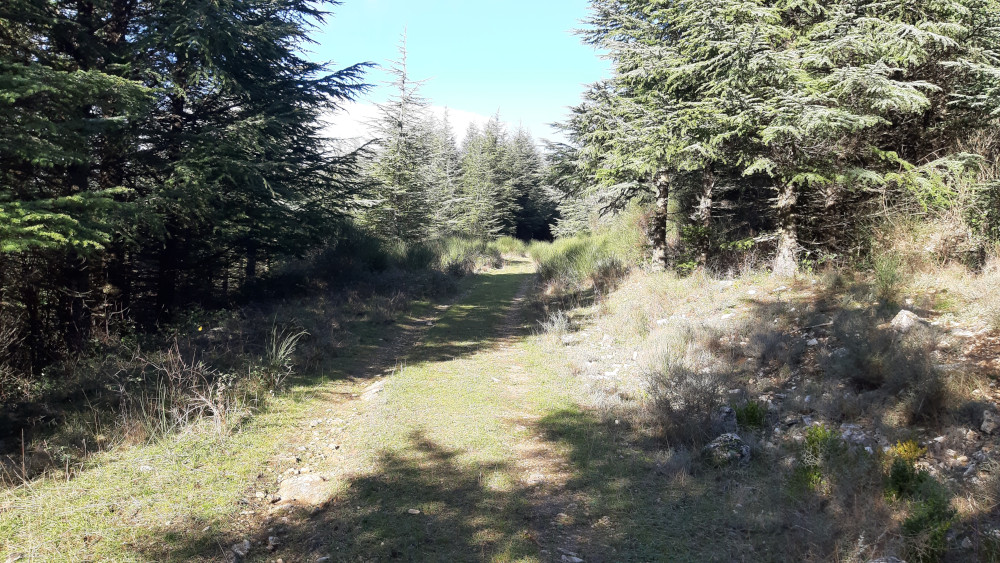 photo15
