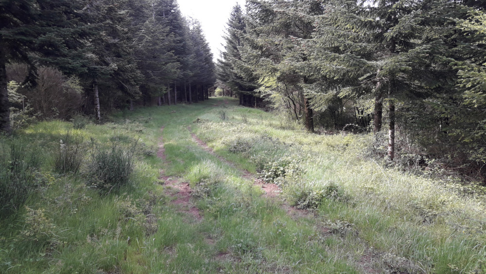 photo16