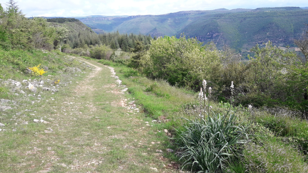photo17