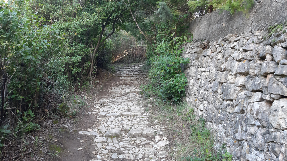 photo3