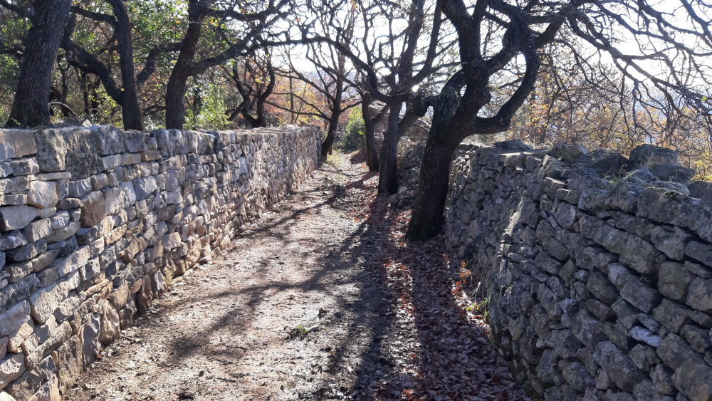 photo6