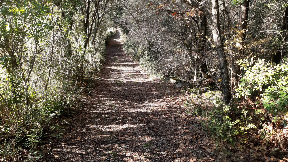 photo8