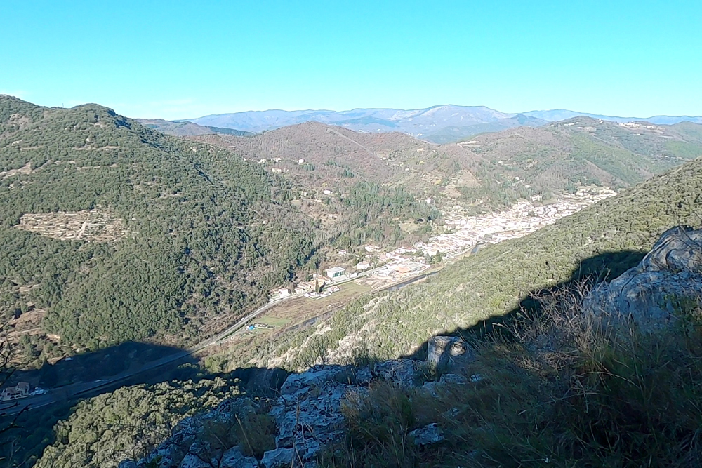 photo4
