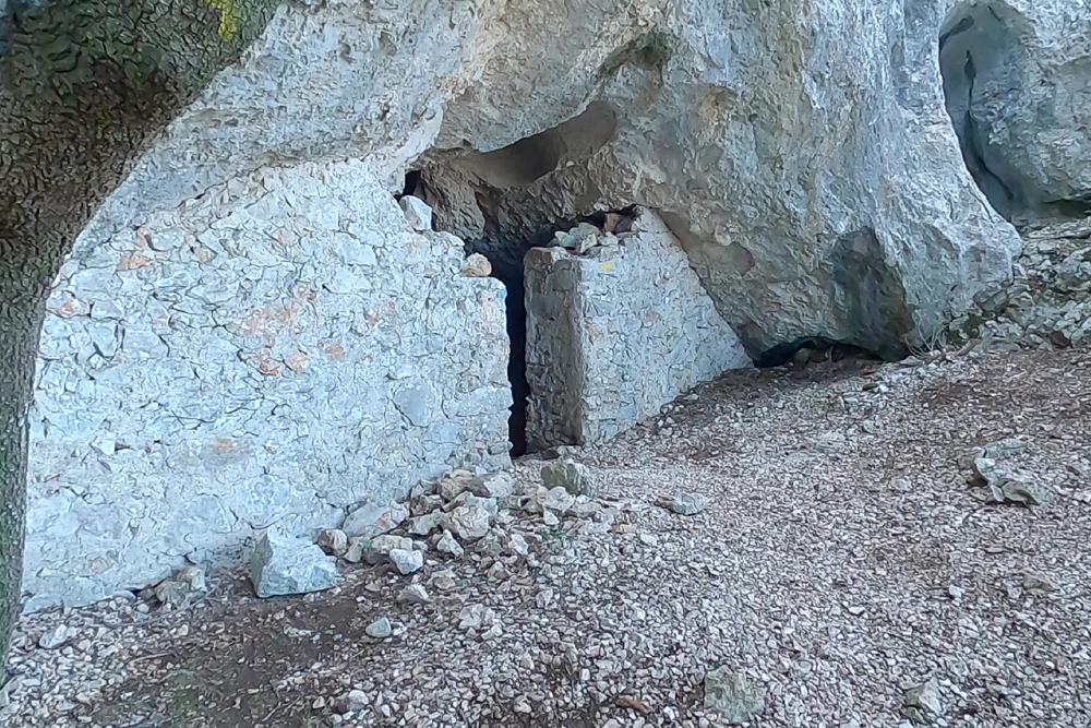photo5