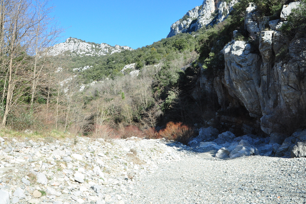 photo9
