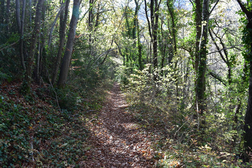 photo20