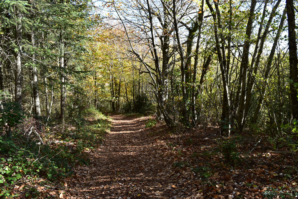 photo8
