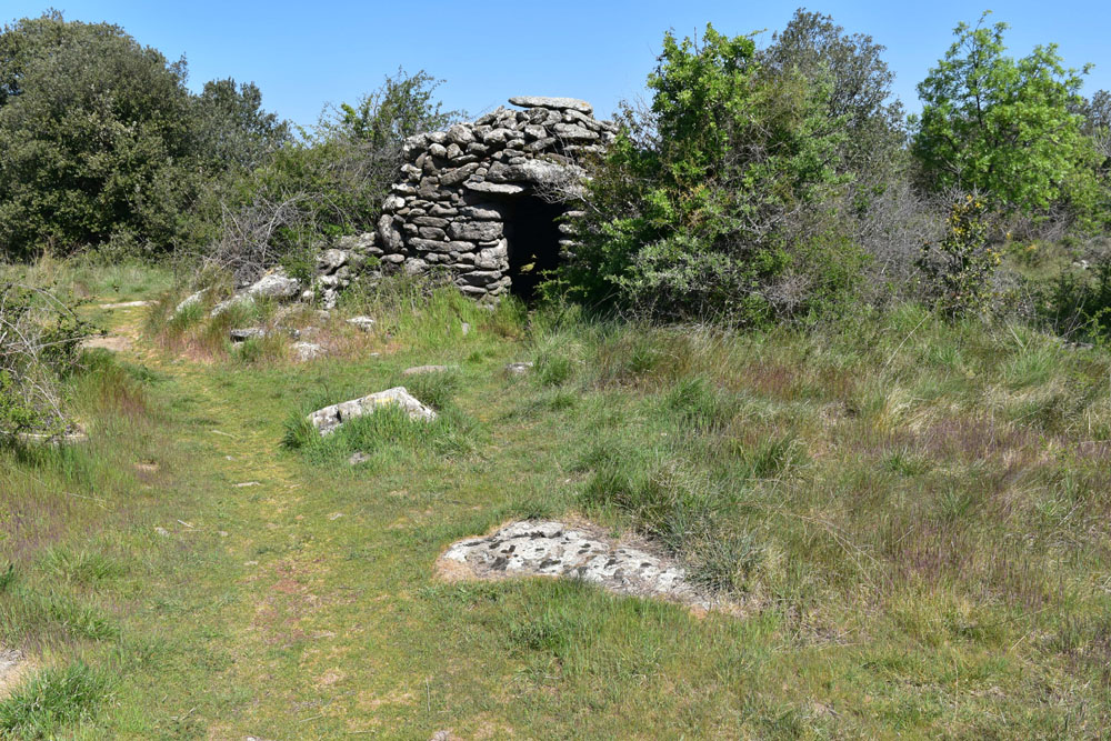 photo17