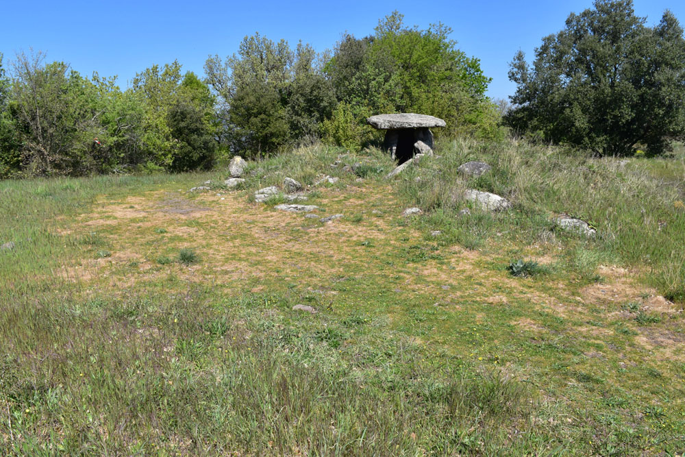 photo18