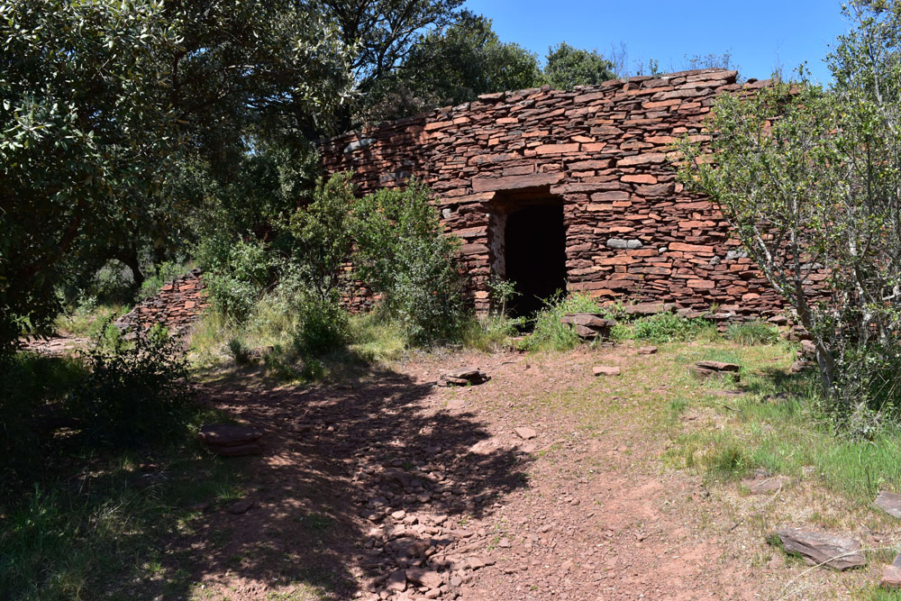 photo21
