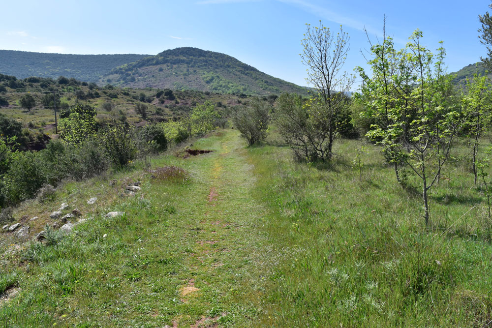 photo22