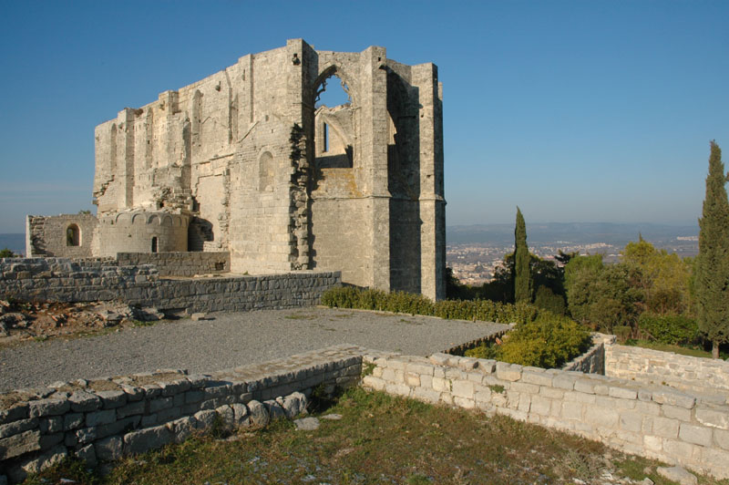 photo1