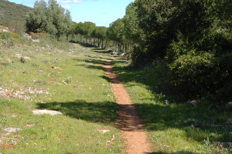 photo10
