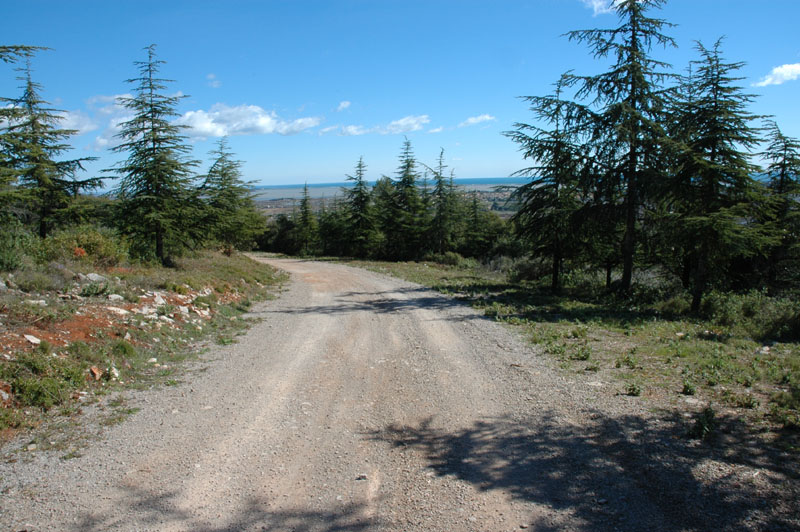 photo11
