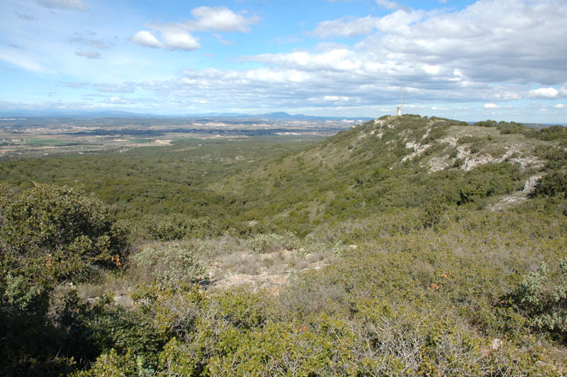 photo12