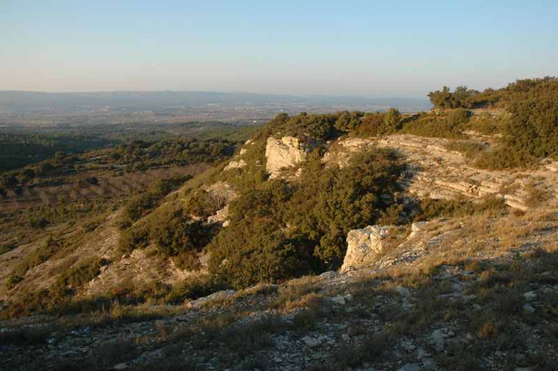 photo13