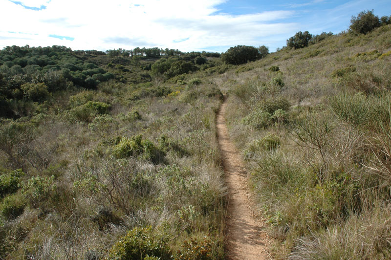 photo14