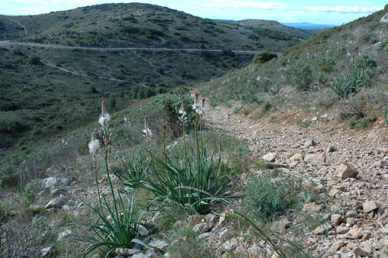 photo3