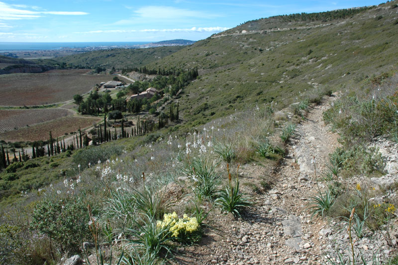 photo5