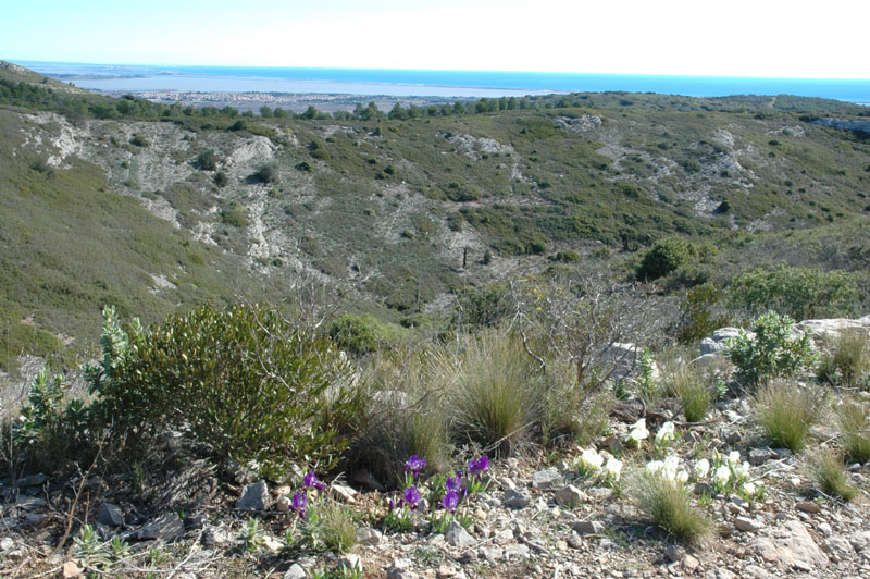 photo6