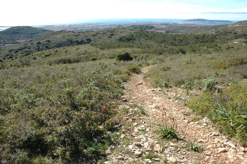 photo7