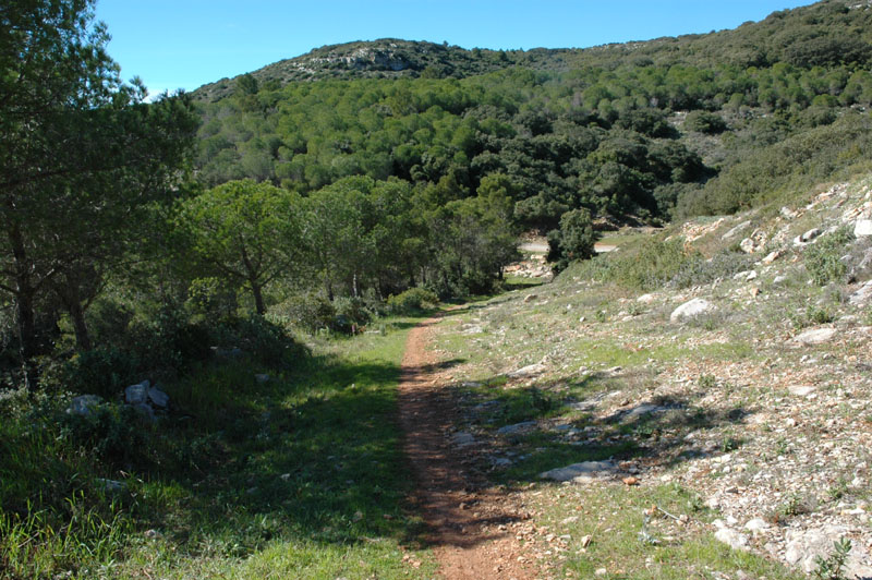 photo9