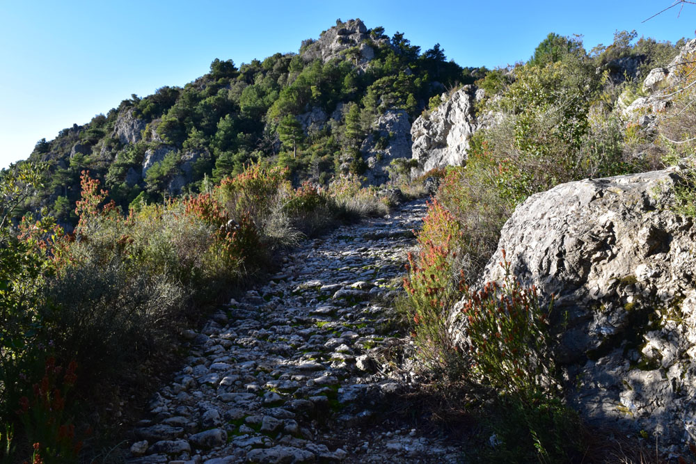 photo7