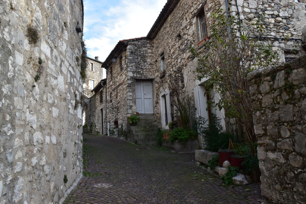 photo1