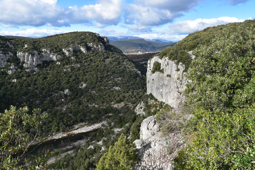 photo25
