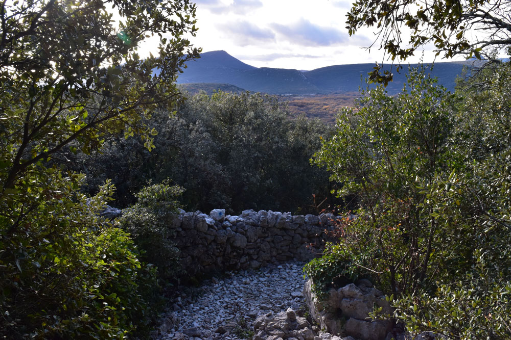 photo27